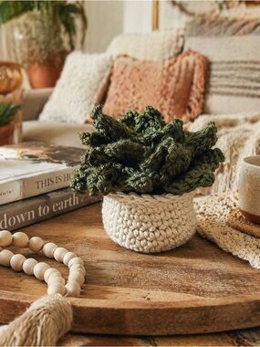 Handmade Coster Set of Three — Succulent